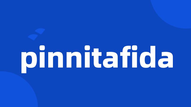 pinnitafida