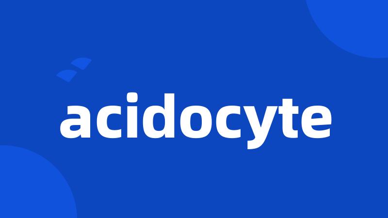 acidocyte