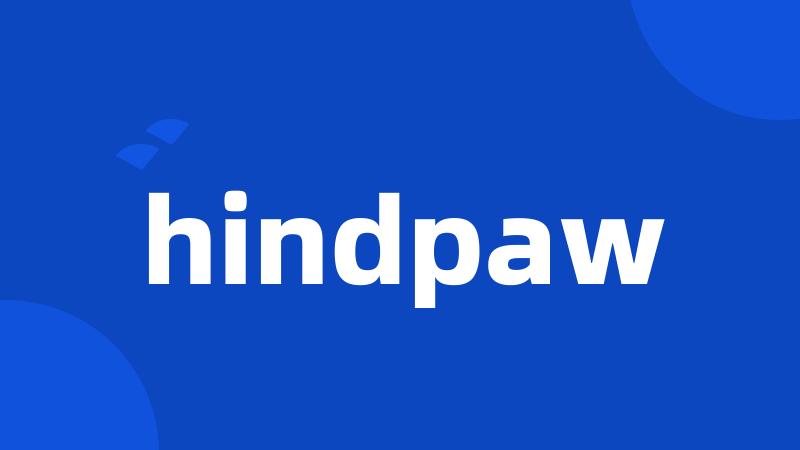 hindpaw