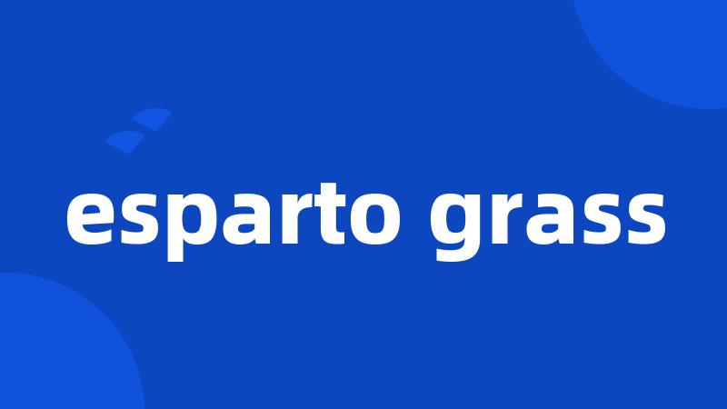 esparto grass