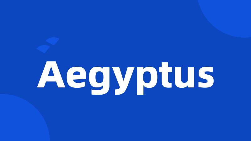 Aegyptus