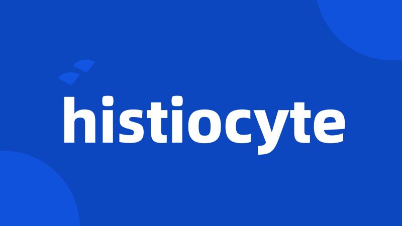 histiocyte