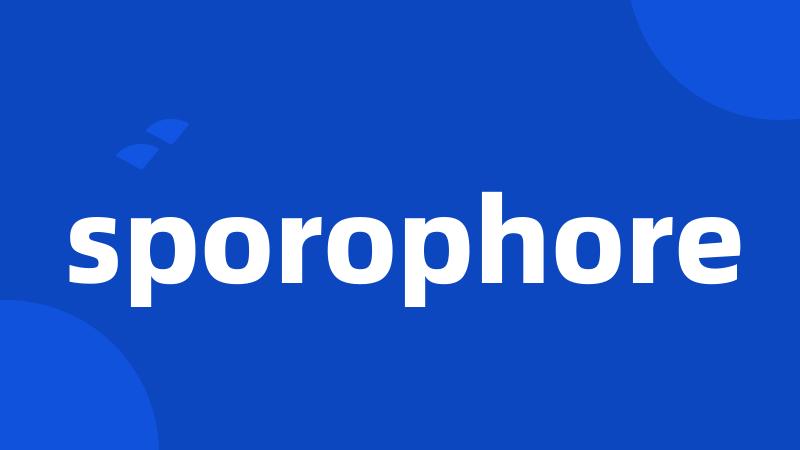 sporophore