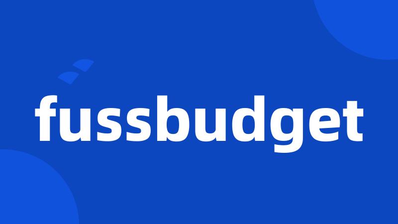 fussbudget