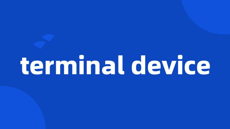 terminal device