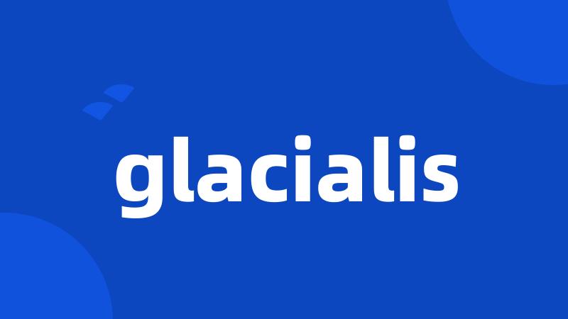 glacialis