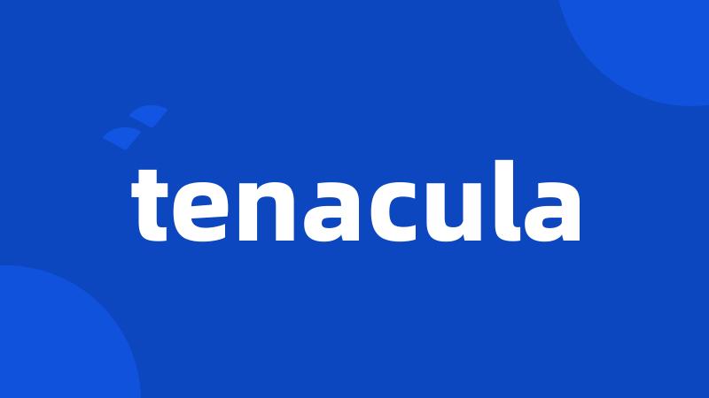 tenacula