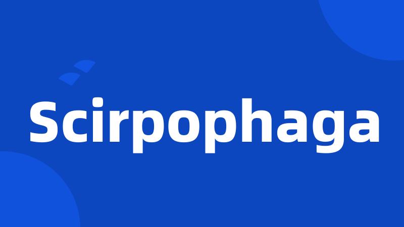 Scirpophaga