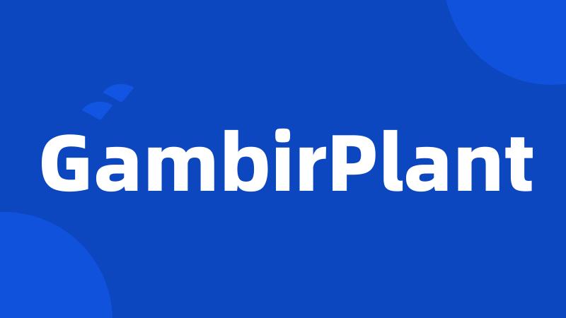 GambirPlant