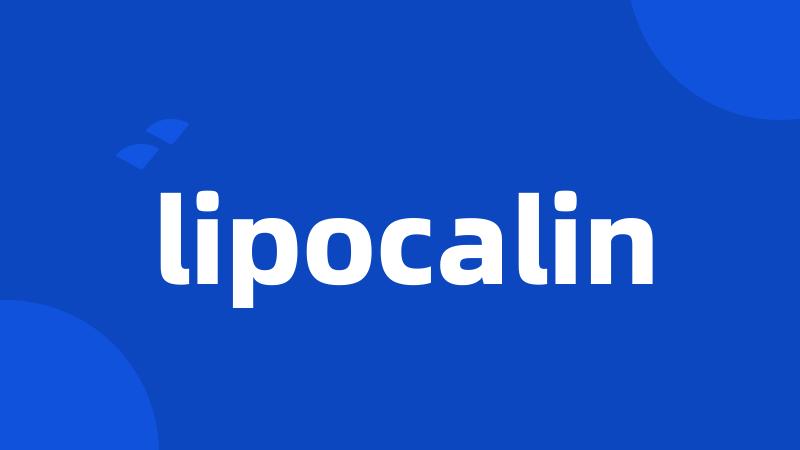 lipocalin