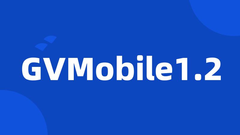 GVMobile1.2