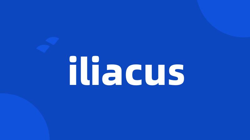 iliacus