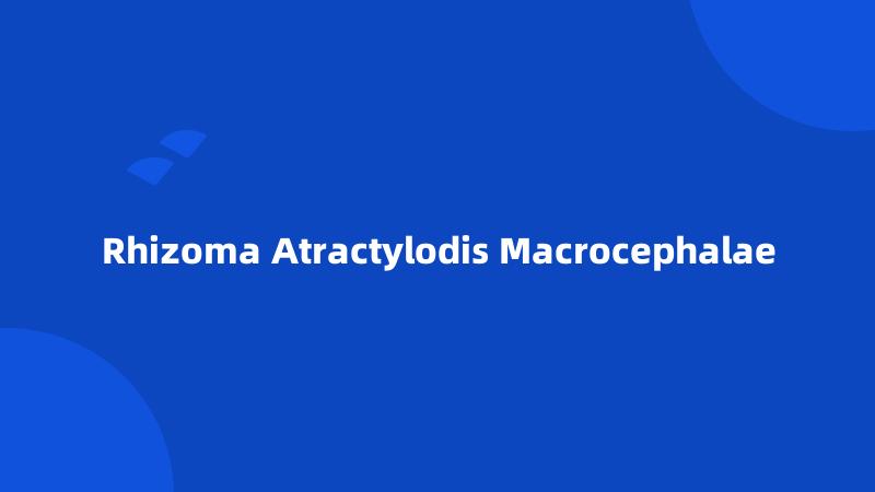 Rhizoma Atractylodis Macrocephalae