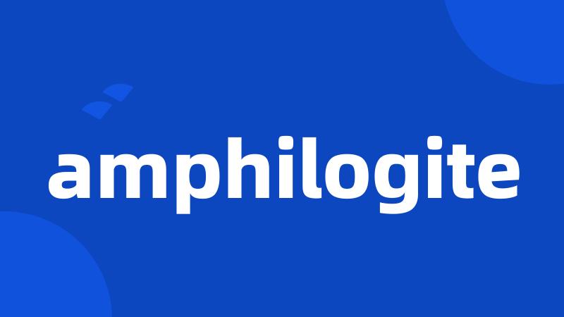 amphilogite