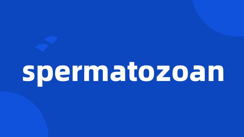 spermatozoan