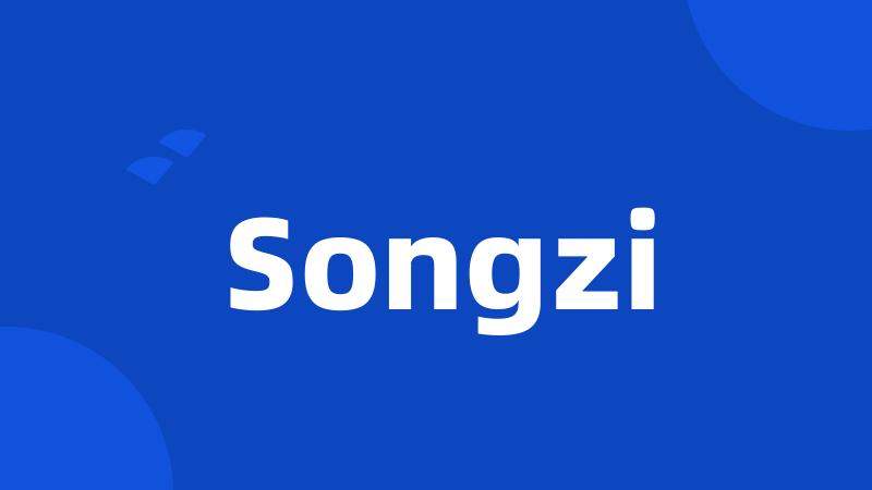 Songzi