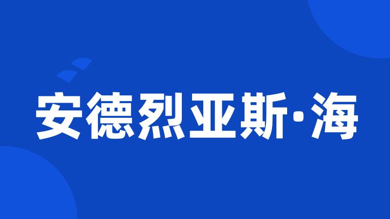 安德烈亚斯·海