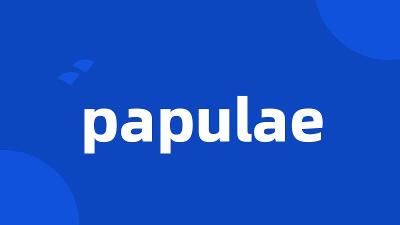 papulae