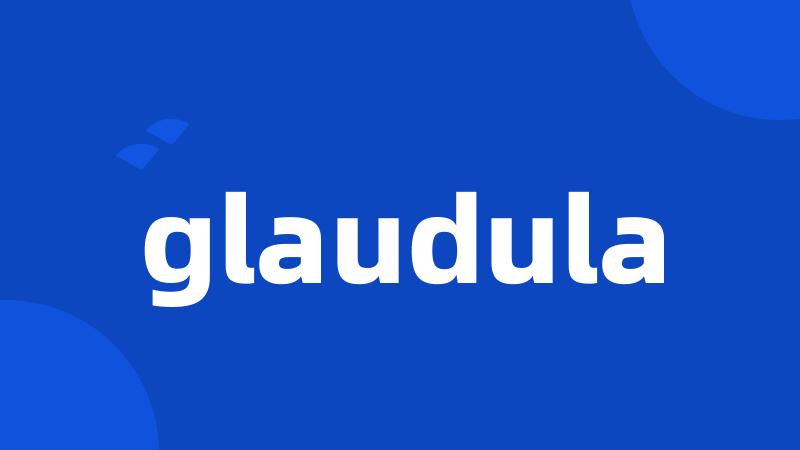 glaudula