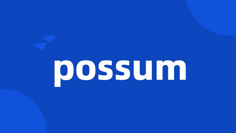 possum