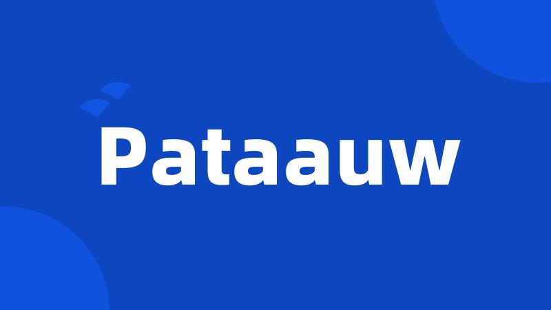 Pataauw