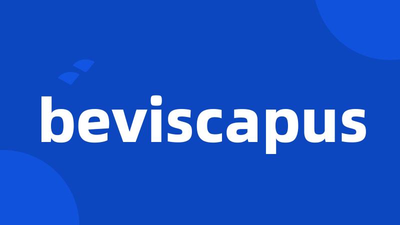 beviscapus