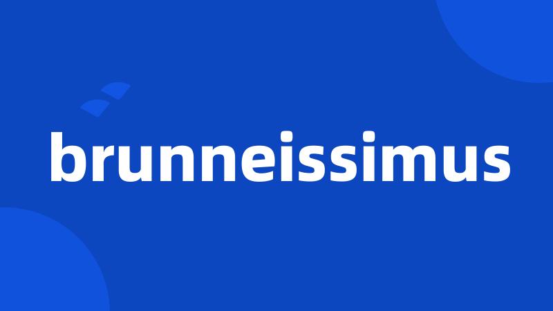 brunneissimus