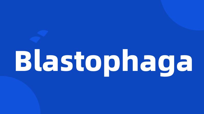 Blastophaga