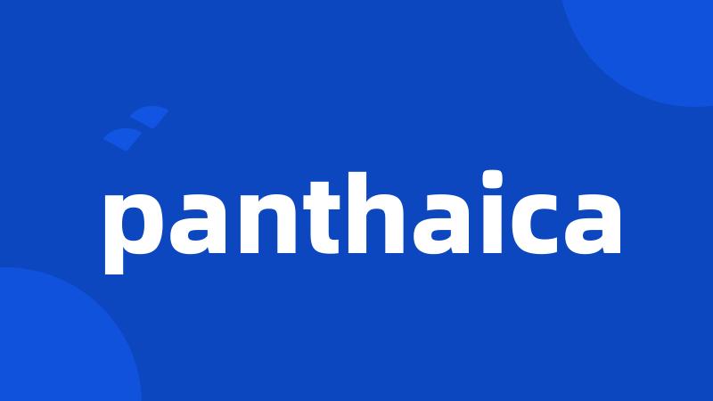 panthaica
