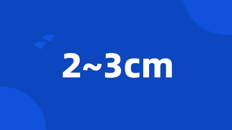 2~3cm