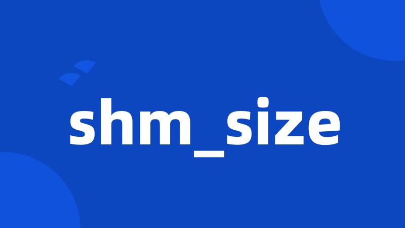 shm_size