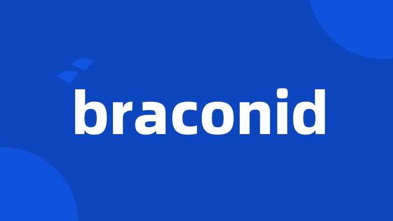 braconid