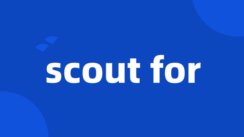 scout for