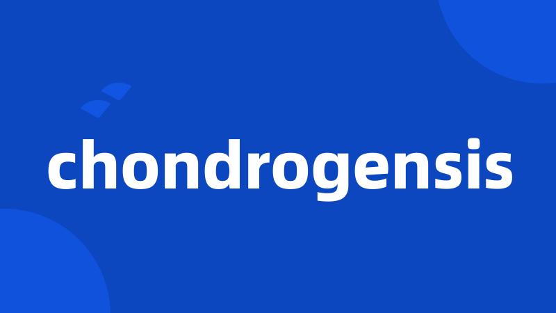 chondrogensis