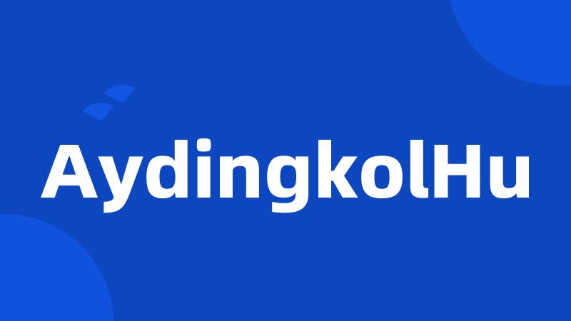 AydingkolHu