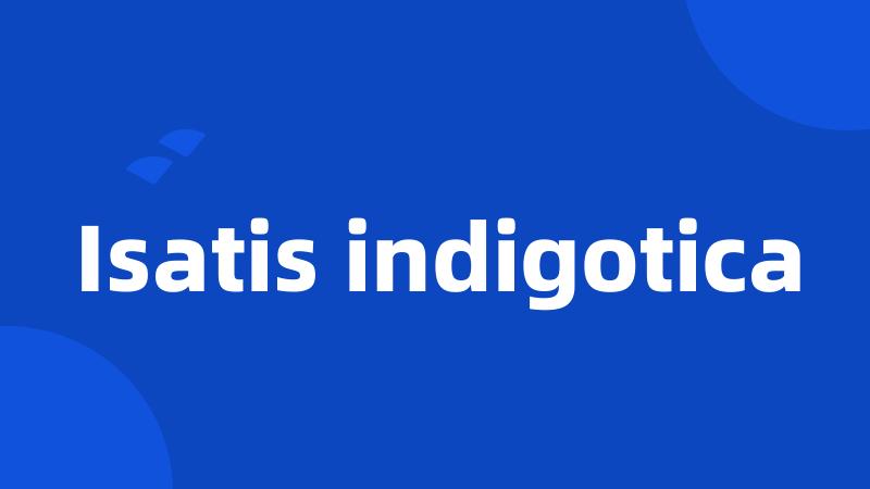 Isatis indigotica