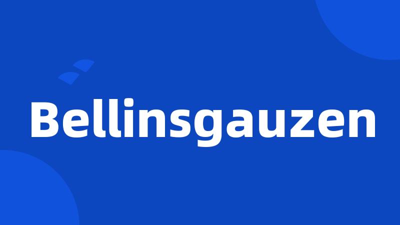 Bellinsgauzen