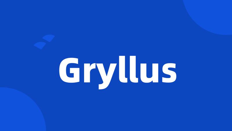 Gryllus