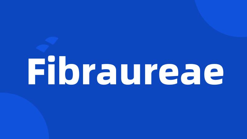 Fibraureae