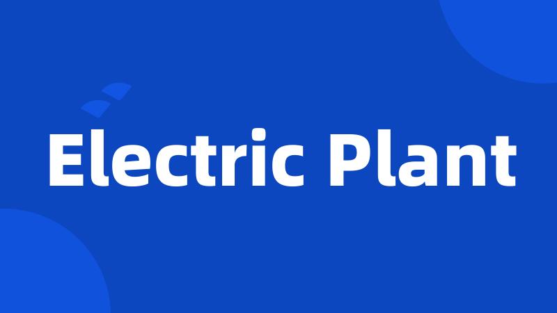 Electric Plant