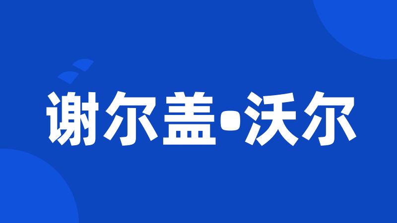 谢尔盖•沃尔