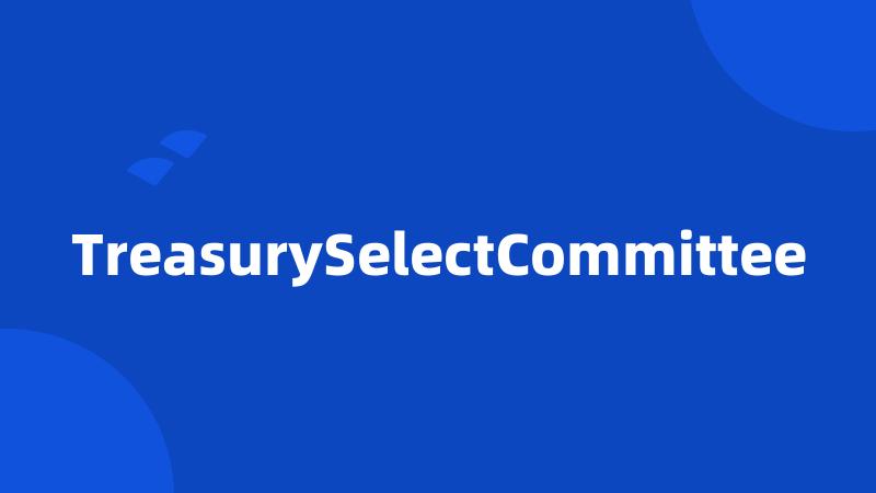 TreasurySelectCommittee