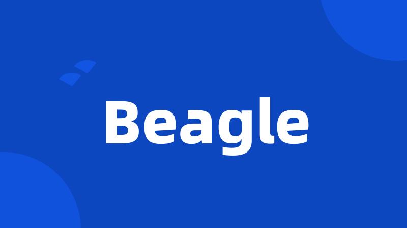 Beagle