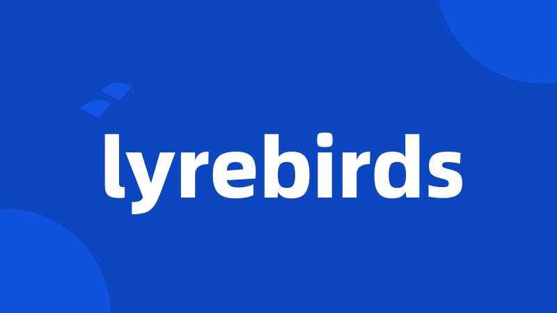 lyrebirds