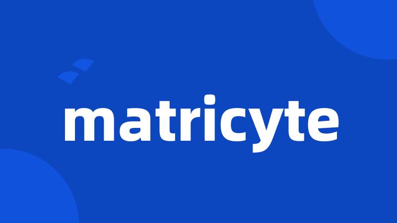 matricyte