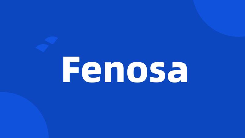 Fenosa