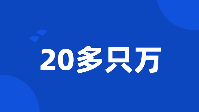 20多只万