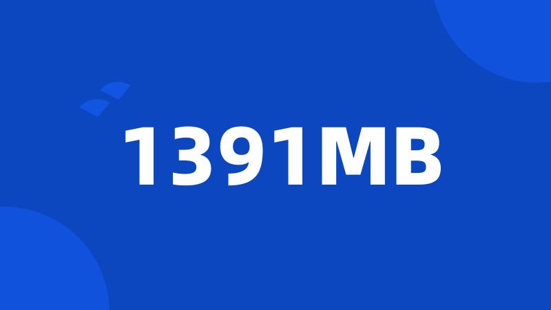 1391MB