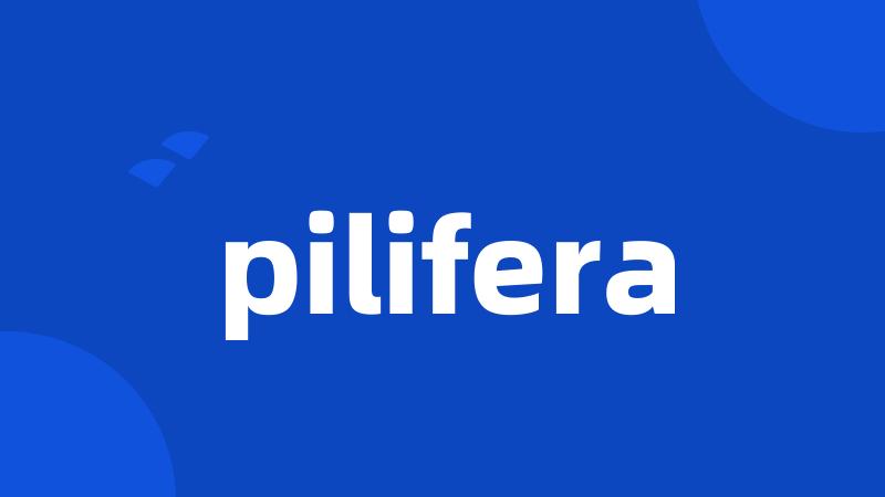 pilifera