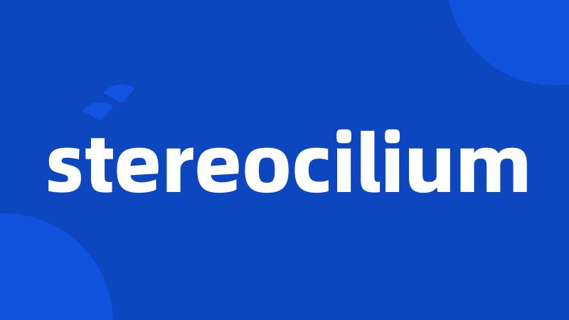 stereocilium